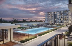 nshama_holland_gardens_1