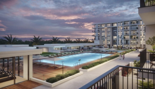 nshama_holland_gardens_1