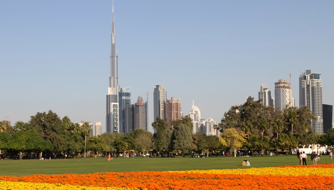 Территория Аль Сафа